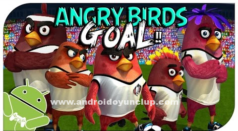 AngryBirdsGoalapk